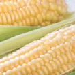 トウモロコシ