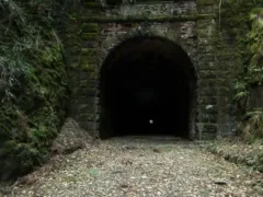 壁の中の生活（従姉妹シリーズ4）