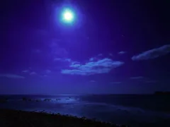 海を見たらあかん日