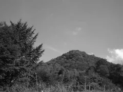 危険な好奇心（後編）