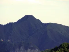 マネキンの警告