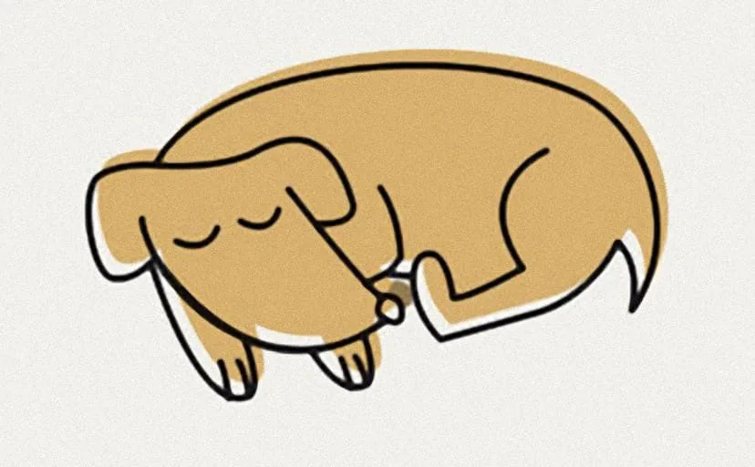 犬に呪われたら