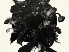 コトリバコ（長編）