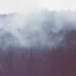 霧の立ち込める山（フリー写真）