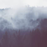 鷹ノ巣山の霧
