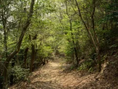 ぐにゃぐにゃおばさん