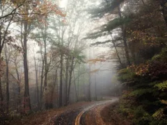 知らない道路標識