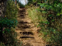 頭が無いおじちゃん