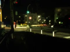 ガラス玉のような目