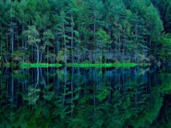 夜釣りでの恐怖体験