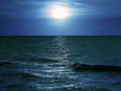 海から聞こえる声