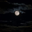 夜空の月（フリー写真）