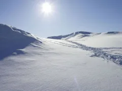 埋めたはずなのにな…