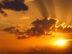 歳を取らない巫女様